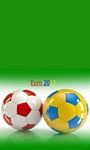 pic for euro2012 480x800